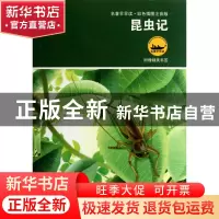 正版 昆虫记(彩色插图注音版)/名著早早读 (法)法布尔|改编:右真/