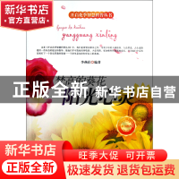 正版 梵高的葵花(阳光心灵)/开启花季智慧科普丛书 李燕荭|主编: