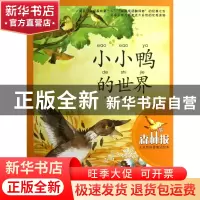 正版 小小鸭的世界(森林报大自然科普童话绘本) (苏)维·比安基|译