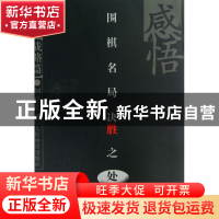 正版 感悟围棋名局决胜之处(战略篇) 刘骆生 人民体育 9787500944