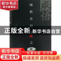 正版 感悟围棋名局决胜之处(战略篇) 刘骆生 人民体育 9787500944