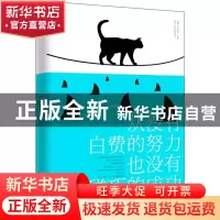 正版 从没有白费的努力也没有碰巧的成功 王大纯 江西教育 978753