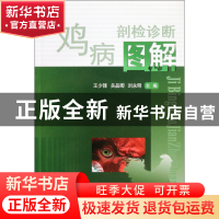 正版 鸡病剖检诊断图解 王少锋//关品卿//刘永明 中国农业大学 97