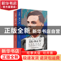 正版 艾伦·图灵传(如谜的解谜者上下) (英)安德鲁·霍奇斯|译者:孙