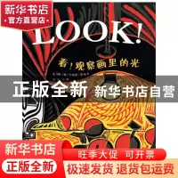 正版 看观察画里的光(精) (英)吉莉恩·沃尔夫|译者:宋珮 河北教育