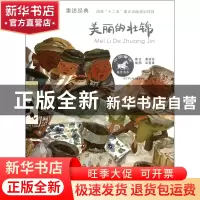 正版 美丽的壮锦/中国童话美绘书系 黄蓓佳|绘画:高菁菁 江苏少儿