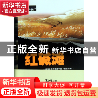 正版 红碱滩/黑土地之歌 于忠民 武汉大学 9787307097339 书籍