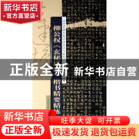 正版 柳公权玄秘塔碑楷书精要精练/历代名碑名帖书法技法与临创