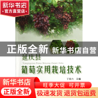 正版 延庆县葡萄实用栽培技术 丁双六 中国农业大学 978756550611