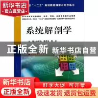 正版 系统解剖学(供高等医药院校基础临床预防口腔医学类专业使用