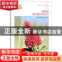 正版 摇晃在那年夏天的阳光/我的青春我的梦全国中学生校园美文精