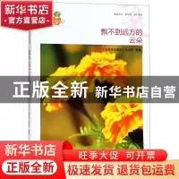 正版 飘不到远方的云朵/我的青春我的梦全国中学生校园美文精品集