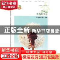 正版 风吹过青春与流年/我的青春我的梦全国中学生校园美文精品集