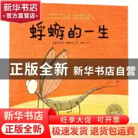 正版 蜉蝣的一生/海豚绘本花园 (法)史蒂芬·塞内格|译者:袁筱一|