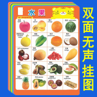 幼儿启蒙学习卡片 0-3岁宝宝早教挂图认知卡儿童认物书水果动物数字大挂图一岁半宝宝书籍 早教书 智力撕不烂挂画益智读物