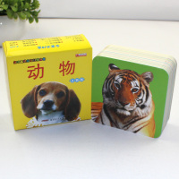 动物卡片 撕不烂早教卡片 儿童认物绘本图书 幼儿启蒙认知卡动物世界0-3岁益智彩色有图视觉大卡婴儿早教书籍婴幼认知
