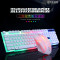 LIMEIDE GTX300 彩虹背光有线键盘鼠标套装电脑台式吃鸡游戏键盘机械手感黑键鼠色（白色）