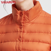 鸭鸭款女装韩版修身羽绒服女立领冬季短款时尚羽绒服B-361