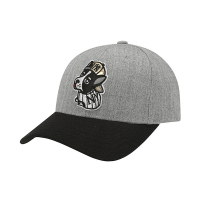 MLB(洋基队) 棒球帽 洋基队卡通狗运动休闲帽弯檐 可调节款 17灰色黑檐斗牛犬NY