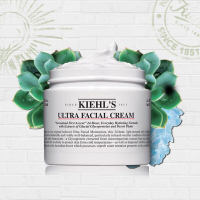 Kiehl's 科颜氏高保湿面霜125ml 各种肤质保湿补水 修护嫩肤通用日霜 美国进口
