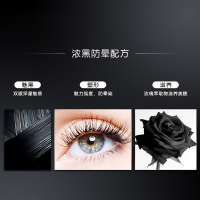 LANCOME 兰蔻天鹅颈展扇睫毛膏10g 多效浓密黑色系 卷翘纤长睫毛膏防水 法国品牌