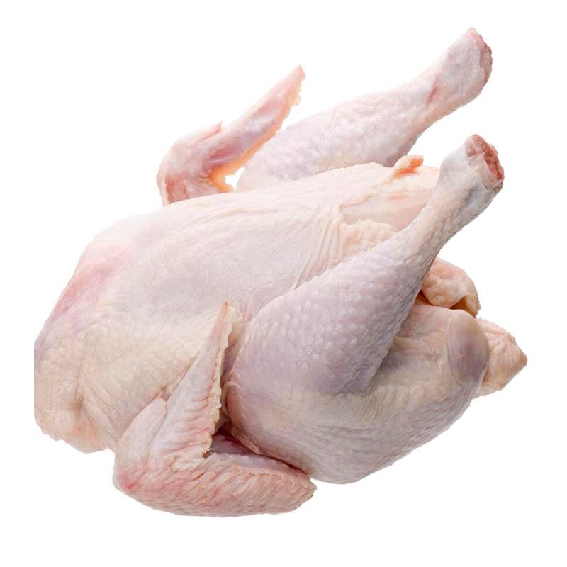 大连特产 庄河本地特产 农家散养鸡 散养大骨鸡2.5kg图片