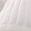 俞兆林 薰衣草荞麦枕枕芯 学生枕