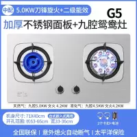 新飞煤气灶双灶家用天然气台式液化气猛火灶厨房炉具嵌入式燃气灶_G5中配不锈钢面板铜火盖鸳鸯爆炒猛火_液化气