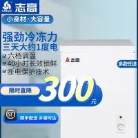 志高(CHIGO)小冰柜家用小型冷藏保鲜冷冻卧式冷柜冷冻柜两用单温小冰箱_①⑥OA②②⑧一级能