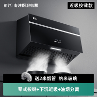 新飞大吸力抽油烟机家用厨房小型中式出租房抽烟机吸油机油畑姻排_[纳米玻璃]面板-下沉近吸x油烟分离-按键款_不含安装