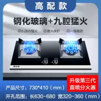 志高(CHIGO)煤气灶双灶家用燃气灶液化气嵌入式天然气灶台式猛火灶炉具_高配钢化玻璃猛火九腔_液化气
