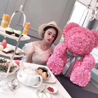 林檎圣诞节送女友玫瑰花熊 泡沫花礼盒熊香皂花小熊生日女朋友老婆创意网红抱抱熊 25厘米高贵粉+原装礼盒灯 礼送女朋友老婆