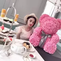 林檎圣诞节送女友玫瑰花熊 泡沫花礼盒熊香皂花小熊生日女朋友老婆创意网红抱抱熊 25厘米高贵粉+原装礼盒灯 礼送女朋友老婆