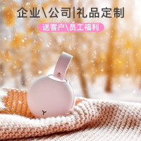 林檎企业公司年会商务小礼品定制印logo送客户员工活动奖品纪念品抖音同款暖手宝充电宝感恩节生日男女生送女朋友老婆生日礼物