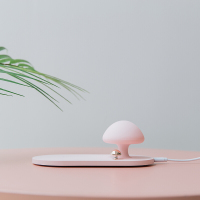 林檎企业公司年会商务礼品充电宝定制logo送领导客户伴手礼员工活动奖品生日送男女感恩节实用纪念品送女朋友老婆生日礼物送女