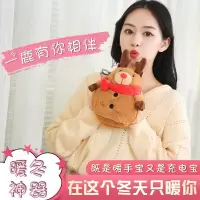 林檎生日女生送女友女孩暖手宝充电宝毛绒玩具玩偶抱枕公仔圣诞节送女朋友老婆闺蜜实用暖腿神器暖宝宝贴 一鹿有你[暖手宝+送女