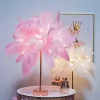 林檎结婚纪念日送老婆实用女朋友生日女生闺蜜实用浪漫情人节送女友圣诞节创意礼品羽毛灯LY96翝送女朋友老婆生日礼物