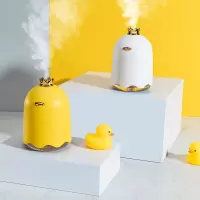 林檎公司礼品定制送客户员工福利周年庆典活动奖品纪念品生日男女生感恩节送男女朋友实用创意迷你加湿器送女朋友老婆生日礼物