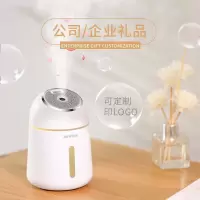 林檎网红生日女生闺蜜感恩节实用USB迷你办公室香薰加湿器实用公司年会商务礼品定制送客户员工纪念品送女朋友老婆生日礼物