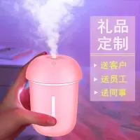 林檎网红抖音同款生日男女生送女朋友实用办公室加湿器卧室迷你家用公司纪念品小礼品定制送客户员工活动奖品送女朋友老婆生日礼物