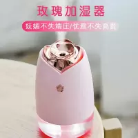 林檎员工福利团建纪念品公司年会商务定制logo送客户领导周年庆开业奖品感恩节生日女生送女友迷你加湿器送女朋友老婆生日礼物