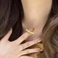法式复古黄金竹节项链女轻奢小众高级感轻奢百搭新品锁骨链配饰品