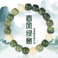 青春手饰菩提根手串男女情侣手链学生党盘玩绕指柔文玩佛珠绿菩提送女朋友老婆情人节七夕生日礼物