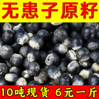 无患子散珠菩提子原籽DIY佛珠手串手链500g一斤文玩未打孔串珠子送女朋友老婆情人节七夕生日礼物