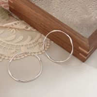 大圈耳环女S925纯银高级简约个性气质耳圈2023新款网红耳饰品批发送女朋友老婆情人节七夕生日礼物