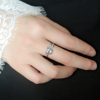 s925纯银钱袋可爱小老虎戒指复古做旧开口虎年本命年单戒生肖女送女朋友老婆情人节七夕生日礼物