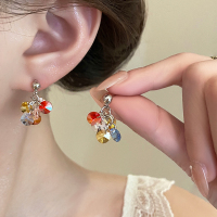 多巴胺彩色葡萄串珠耳钉2025春夏新款气质耳环小众设计感甜美耳饰送女朋友老婆情人节七夕生日礼物