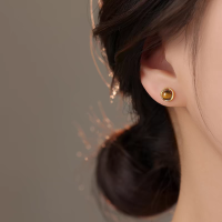 s925银针虎眼石耳钉女轻奢小众高级感美拉德圆形耳环复古独特耳饰送女朋友老婆情人节七夕生日礼物