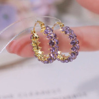 2025新款紫色圈圈耳环女满钻时尚网红高级感大气耳扣简约耳饰送女朋友老婆情人节七夕生日礼物