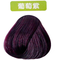 首邦生态卡兰露姿彩色焗油霜染发剂盖白发植物染发膏染发霜染膏染头发彩色焗油膏大盒500ML*2葡萄紫色